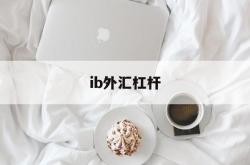 ib外汇杠杆(外汇中杠杆是什么意思)