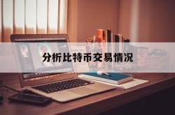 分析比特币交易情况(分析比特币交易情况怎么写)