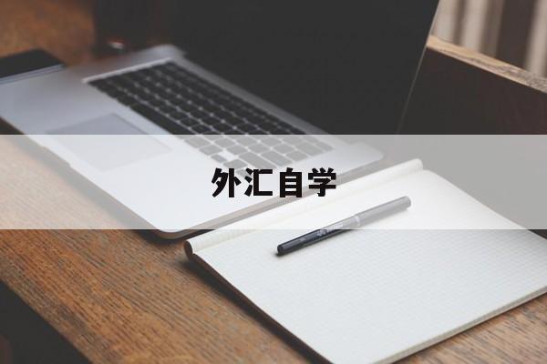 外汇自学(外汇自学教程视频)